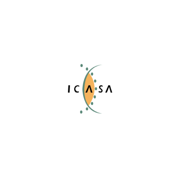 Icasa. Wordpress links: we develop them regularly