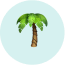 Cartoon palm tree illustration with green leaves and brown trunk, set against a light blue circular background.