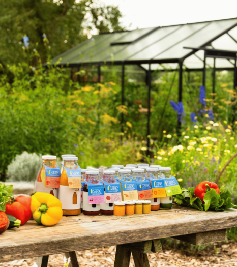 Wooden table displaying fresh vegetables, bottled preserves, and jarred goods in a lush garden with a greenhouse in the ba...
